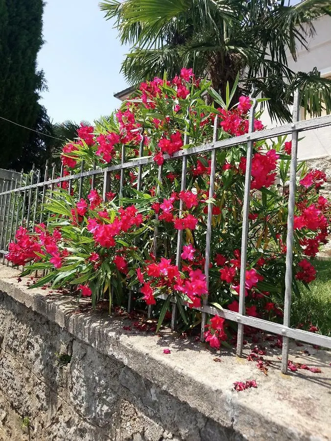 Charming Hill Apartment أوباتيا 0*,  كرواتيا